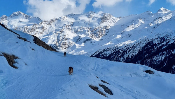 Mit Ruby und Lys auf Winterabenteuer: