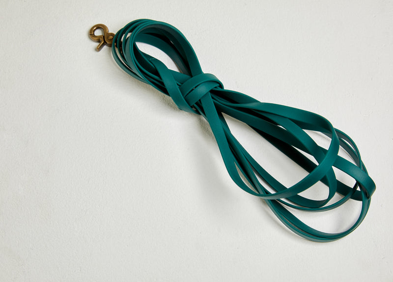 Long Leash green/black